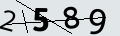verifycode